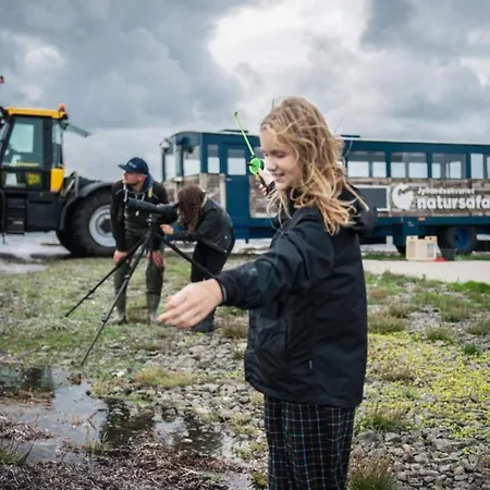 Ferienhaus 4 Star In Thyborøn